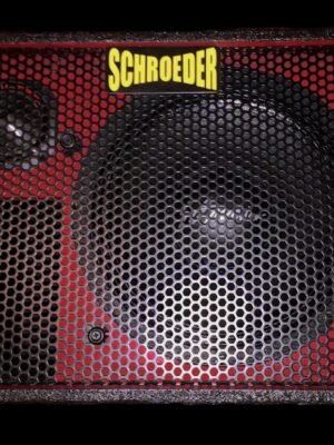 Schroeder 12PL - Instrument Boutique Custom (800W 8Ohm)